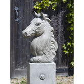 Photo of Campania Champion - Exclusively Campania